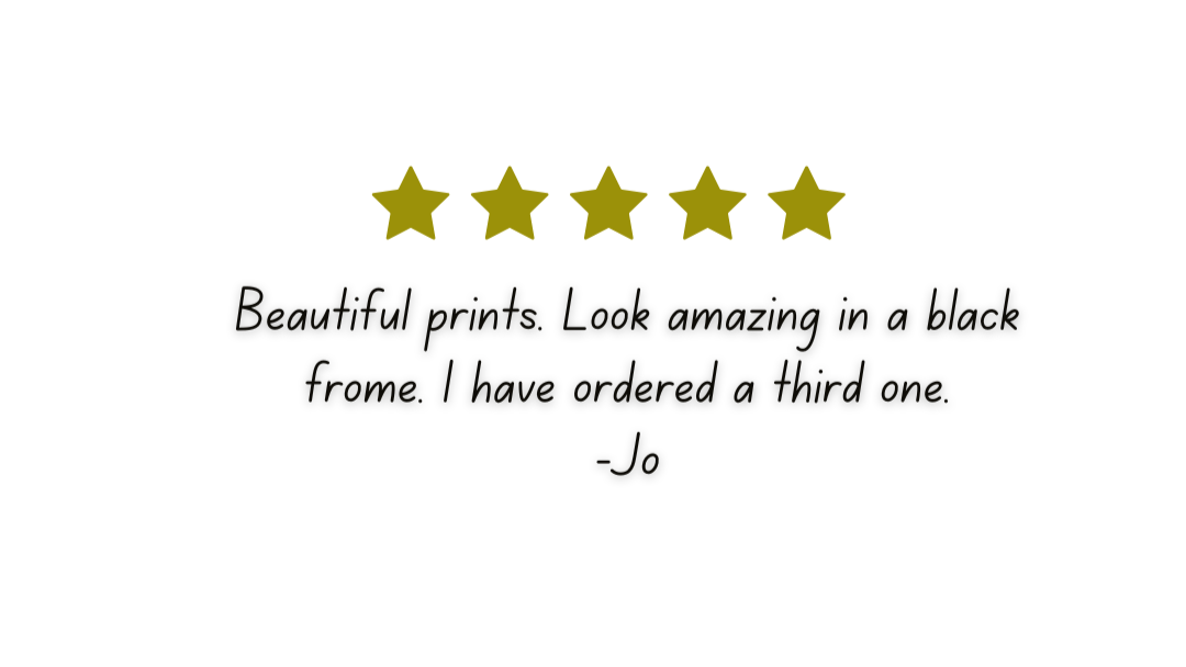 5 Star Review
